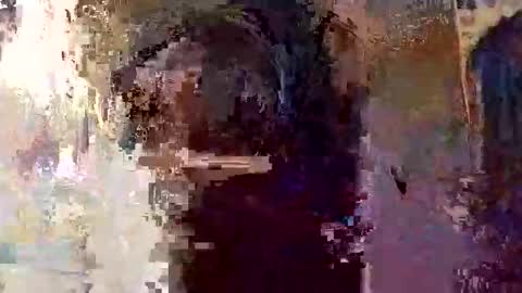 elizabit online show from 5, 4, 2026