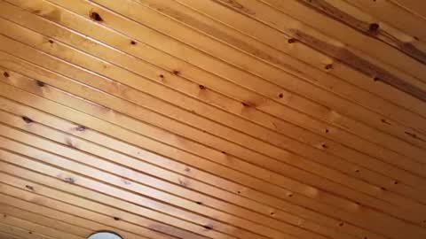 ellalowe online show from 22, 3, 2026