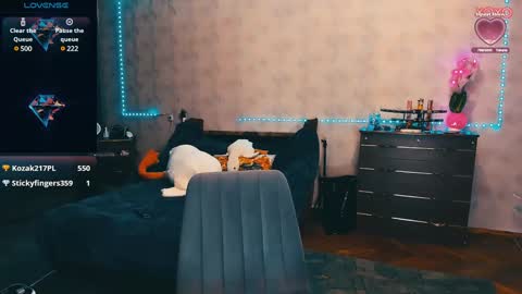 Elli   NEXT STREAM      online show from 12, 12, 2024