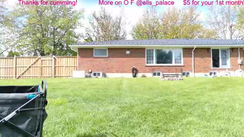 Ella Bella Bo Bella online show from 12, 5, 2026
