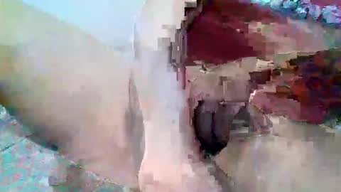 elmario24 online show from 1, 12, 2025