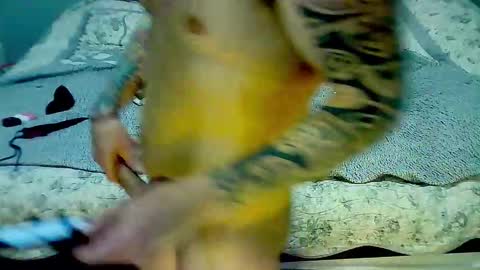 Elpouro online show from 9, 3, 2026