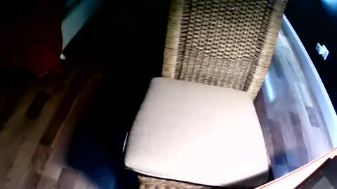 emi4850 online show from 8, 12, 2024