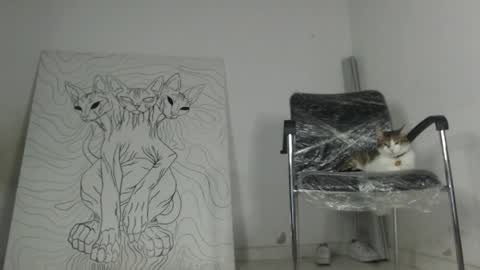 Snapshot of emiantonella_ chatting on 17, 3, 2026 Antonella online show from 17, 3, 2026