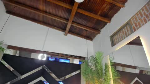 Emily  online show from 17, 1, 2026