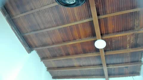 Emily  online show from 4, 2, 2026