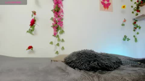 Snapshot of emily_coraline chatting on 6, 2, 2025 Emily  online show from 6, 2, 2025
