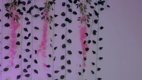 Emily online show from 30, 1, 2025