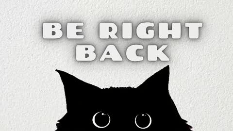   online show from 11, 7, 2026
