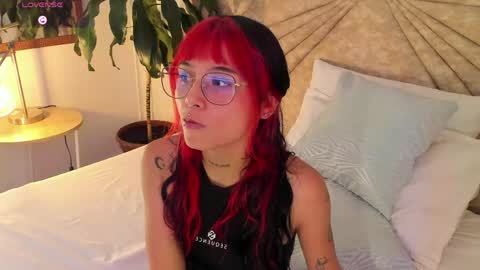           online show from 29, 4, 2026