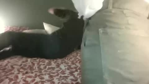 Steph et Eric online show from 28, 2, 2025