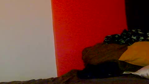 Nikki Erotica online show from 20, 2, 2026