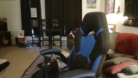 Snapshot of eroticsiren2 chatting on 5, 2, 2025 EroticSiren2 online show from 5, 2, 2025