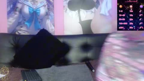 estefania_344 online show from 12, 6, 2026