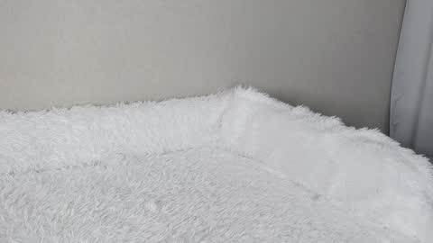 eva varnerr online show from 3, 2, 2025