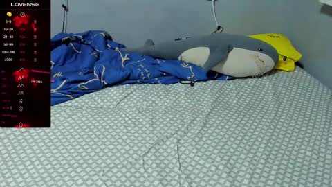 Eva online show from 19, 2, 2025