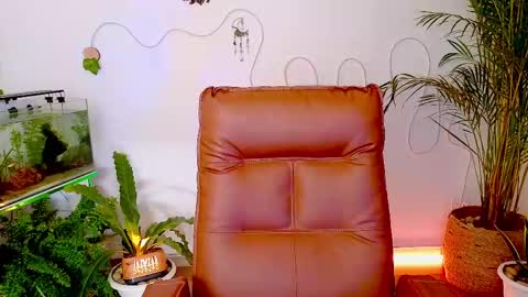 Im Eve or Chelle Next Stream 191224  online show from 1, 5, 2026