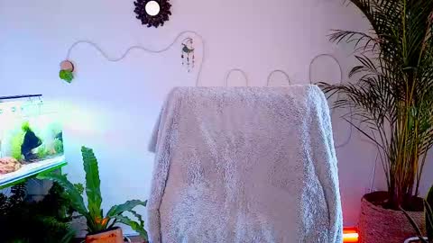 Im Eve or Chelle Next Stream 191224  online show from 2, 5, 2026