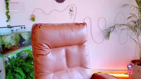 Im Eve or Chelle Next Stream 191224  online show from 4, 5, 2026