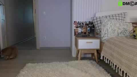 evi_woow online show from 22, 2, 2025