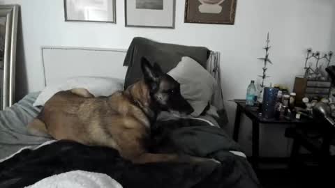 Snapshot of evparrish chatting on 2, 2, 2025 EV Parrish online show from 2, 2, 2025