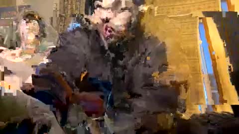 Snapshot of exoticnights chatting on 8, 10, 2025 exoticnights online show from 8, 10, 2025