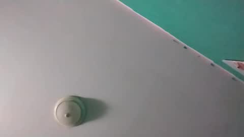 Snapshot of experttreecompany chatting on 14, 3, 2026 experttreecompany online show from 14, 3, 2026