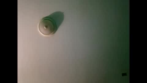 Snapshot of experttreecompany chatting on 21, 3, 2026 experttreecompany online show from 21, 3, 2026