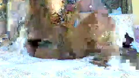 Snapshot of explicitly_certified chatting on 3, 3, 2025 explicitly_certified online show from 3, 3, 2025