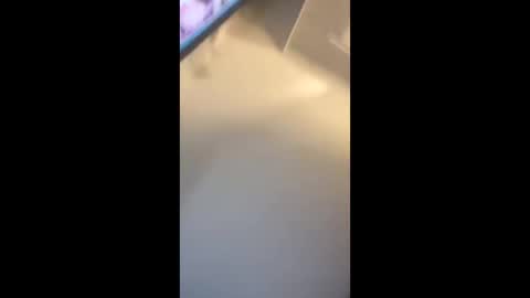 eyelyke2kream online show from 8, 9, 2025