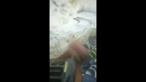 eypqrpyisagh online show from 25, 3, 2026