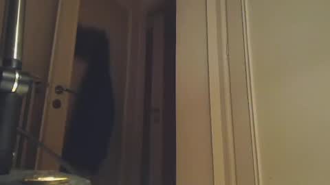 Snapshot of ezcoda chatting on 2, 1, 2025 EZCODA online show from 2, 1, 2025