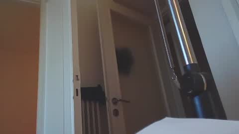 Snapshot of ezcoda chatting on 14, 1, 2025 EZCODA online show from 14, 1, 2025