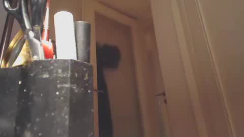 Snapshot of ezcoda chatting on 26, 1, 2025 EZCODA online show from 26, 1, 2025