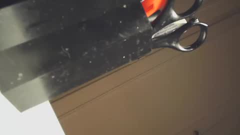 Snapshot of ezcoda chatting on 31, 1, 2025 EZCODA online show from 31, 1, 2025