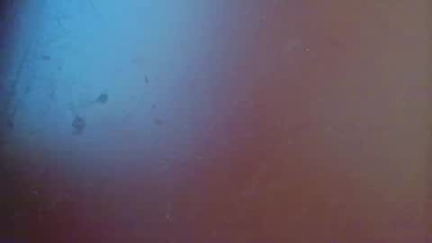 Snapshot of fabi_calde chatting on 19, 2, 2025 fabi online show from 19, 2, 2025