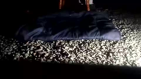 fallguyb1875150 online show from 6, 10, 2025