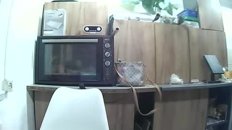 hausewife online show from 6, 5, 2026