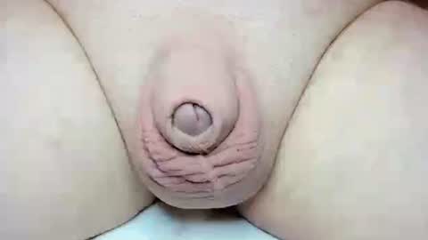 Fatmanscock online show from 26, 10, 2025