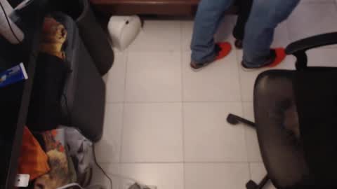 FC91 online show from 4, 3, 2026