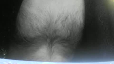 feardubh online show from 10, 2, 2025