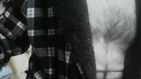 feardubh online show from 12, 3, 2026