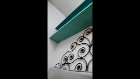 fed884 online show from 23, 3, 2026