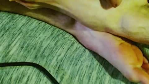 ask me online show from 30, 1, 2025