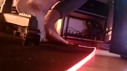 Snapshot of feetishman91 chatting on 27, 3, 2026 feetishman91 online show from 27, 3, 2026