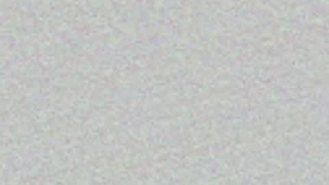 FeleenaFux online show from 3, 5, 2026