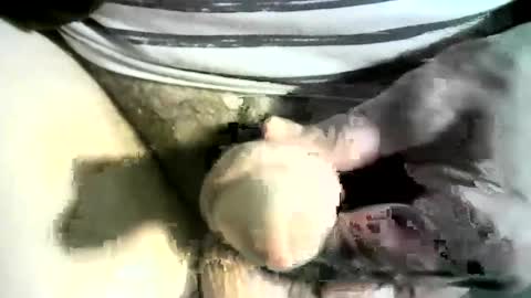 felicaste online show from 8, 3, 2025