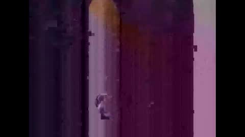 feog197475512 online show from 3, 11, 2025