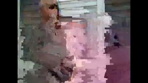 feog197475512 online show from 4, 11, 2025