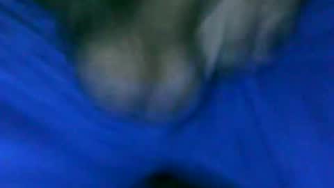 fer_2197 online show from 23, 1, 2025